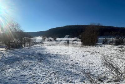 Teren de 3000 mp, în Vâlcele - 1