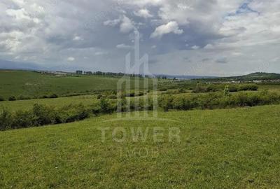 Teren de 11500 mp, în Daia - 9