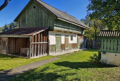 Casa cu teren 3000m2 intravilan - 8