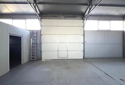 Spațiu industrial, de 120 mp, în Cantemir - 2