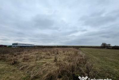 Teren de 2800 mp, în Satulung - 4