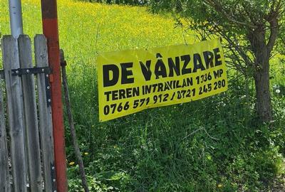 Spațiu comercial, în Vatra Satului - 6