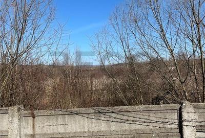 Spațiu comercial, în Șuncuiuș - 3