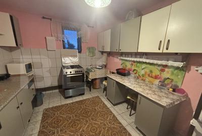 Casa de vanzare in Cionchesti , comuna Viile Satu Mare - 10