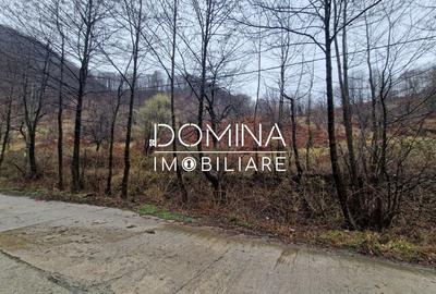 Teren Construcții intravilan de 4416 mp, în Peștișani - 2
