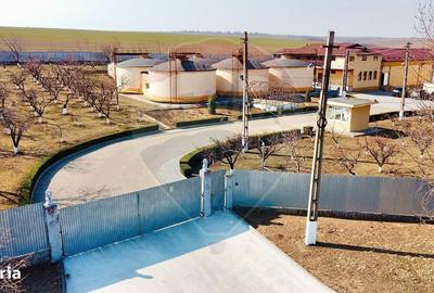 Spațiu comercial, de 2,800 mp, în Tecucelu Sec - 2