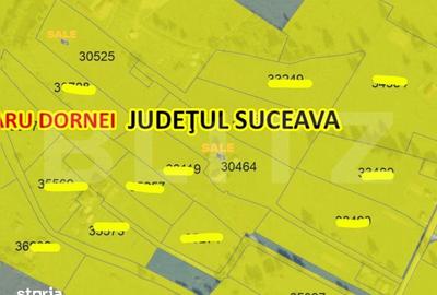 Teren de 16688 mp, în Șaru Dornei - 1