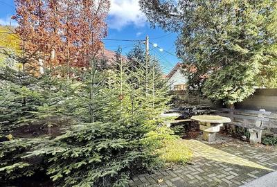 Zona Ultracentrala | Suprafata Generoasa Zona Ultracentrala | Suprafata Generoasa - 4