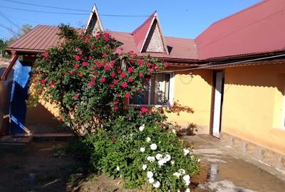 Casă cu 3 camere în Mogoșoaia - 1