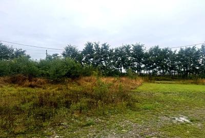 Vanzare 10.000 mp teren Liteni Suceava- la strada -potrivit proiect fonduri - 17