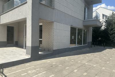 Spatiu Comercial in Pipera/ Commercial space in Pipera - 7