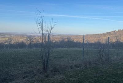 Spațiu comercial, în Rășinari - 4