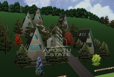 Teren de 14588 mp, în Est