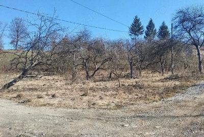 Teren de 1600 mp, în Vișeu de Mijloc - 1