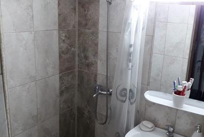 Apartament cu 2 camere semidecomandat în Voineasa - 6