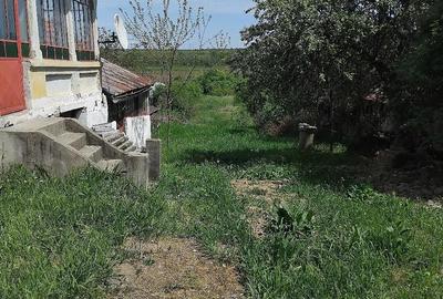 Casă cu Teren 1700 Mp în Pleșoiu - 1