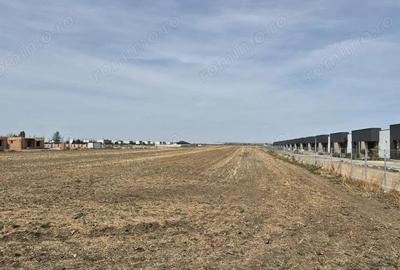 Teren de 16248 mp, în Domnești
