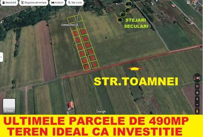 Păcurari-Platou Beldiman ( LA STEJARI SECULARI ) 490 mp , oportunitate reala - 1