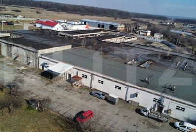 Spatiu industrial, 9500 mp construiti si 25000 mp teren, zona Dragutesti - 3