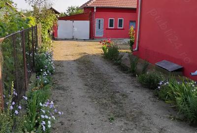 Casa de vanzare Casa de vanzare - 7