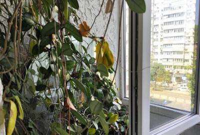 Apartament cu 4 camere decomandat, 90 mp, zona Titulescu - 3