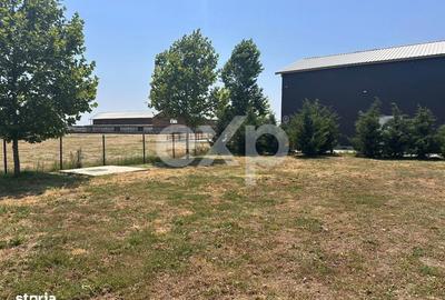 Teren de 105000 mp, în Singureni - 9