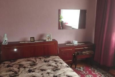 Apartament cu 2 camere semidecomandat în Prundu - 8