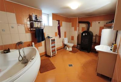 Casa 3 camere teren in Pojejena, jud. Caras Severin - 9