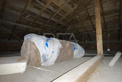 Casa Bolintin Deal - iesirea spre Ciorogarla - 22