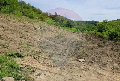 Teren de 1600 mp, în Vest