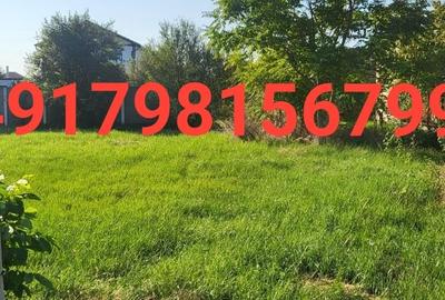 Teren de casă Blașcovici Timișoara - 3