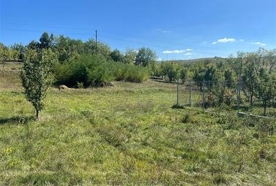 Teren Construcții intravilan de 2075 mp, în Drajna de Jos - 3