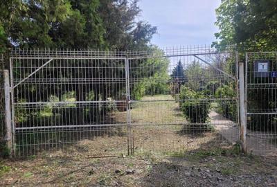 Casă cu 2 camere în Central - 6