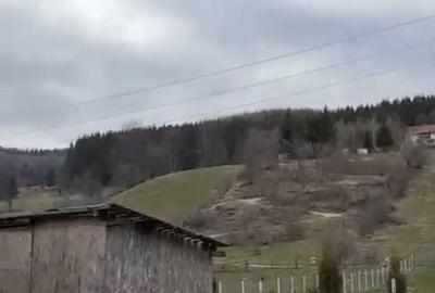 Casă individuală cu 4 camere cu Canalizare în Valea Doftanei - 17