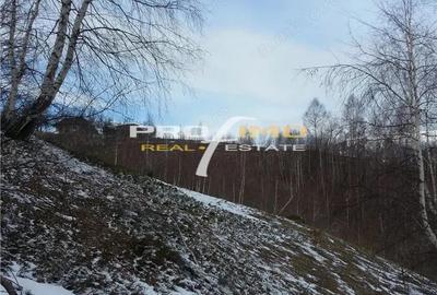 Teren de 3750 mp, în Moieciu - 3