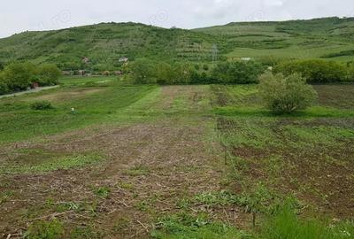 Teren de 2900 mp, în Căianu - 10