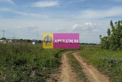 Teren construcție casă - 1 Decembrie - Zona Metropolitană București Teren construcție casă - 1 Decembrie - Zona Metropolitană București - 13