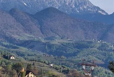 7.000 mp, pozitie spectaculoasa, fara vecini, Fundatica, Brasov - 11