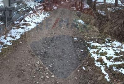 Teren agricol extravilan de 11542 mp, în Cacica - 2