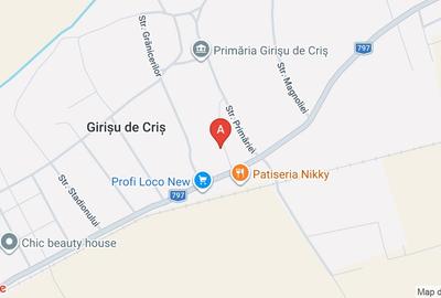 Casă individuală cu 2 camere cu Teren 428 Mp în Girișu de Criș - 1
