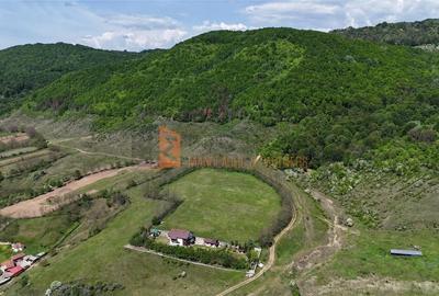 Teren intravilan zona Gura Bascei, com. Cislau - 3