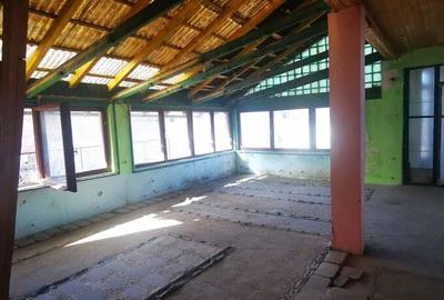 100 EURO mp apartament 100mp cu mansarda 50mp terase 40 mp curte 300mp negociabil - 3