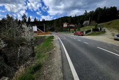 Teren de 941 mp, în Hangu - 7