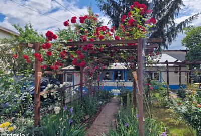 Casă cu 3 camere cu Teren 300 Mp în Militari - 6