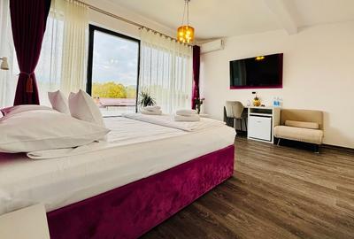 Pensiune de vânzare+casa bonus - 10