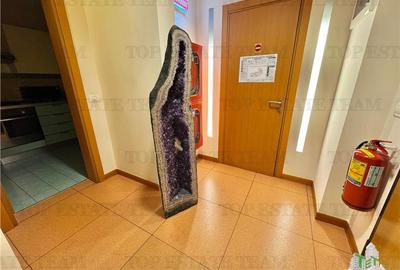 Spatiu office de inchiriat + parcare in zona Parcului Herastrau / Nordului - 12