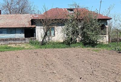 Casă cu 4 camere cu Teren 4200 Mp în Izvoru (Gogoșari) - 10