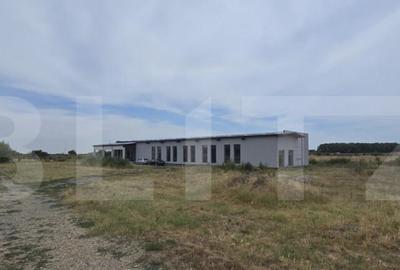 Proprietate comerciala, teren 15.923 mp, 2 hale construite, - 2