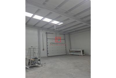 Depozit/hala/spatiu industrial Chiajna - Chitila - Rudeni - 11