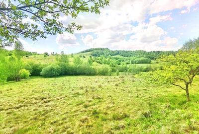 25.000 mp TEREN IDEAL AFACERE TURISM – AMENAJARE LAC DE PESCUIT, CIUCEA - CLUJ - 5